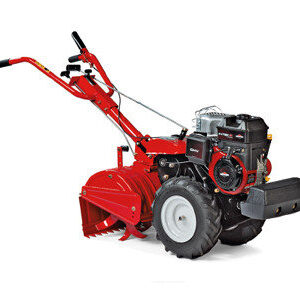 MTD BODEMFREES T- 450